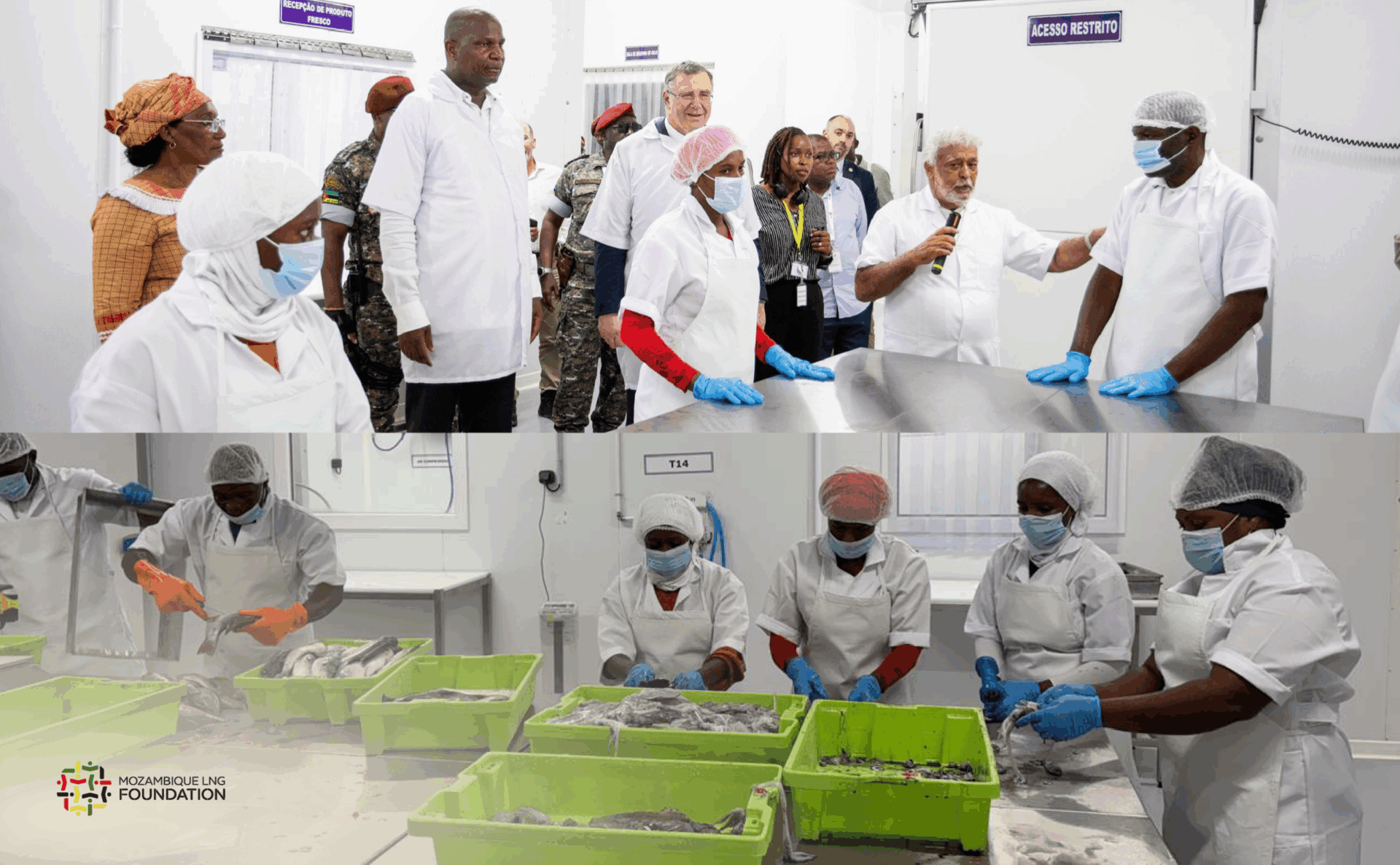 MLNGF - President of the Republic Daniel Chapo and TotalEnergies CEO Inaugurate Fish Processing Unit in Mocímboa da Praia - Web 3